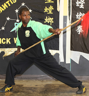 Professional Certified Martial Arts Instructor