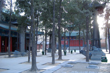 Shaolin Courtyard